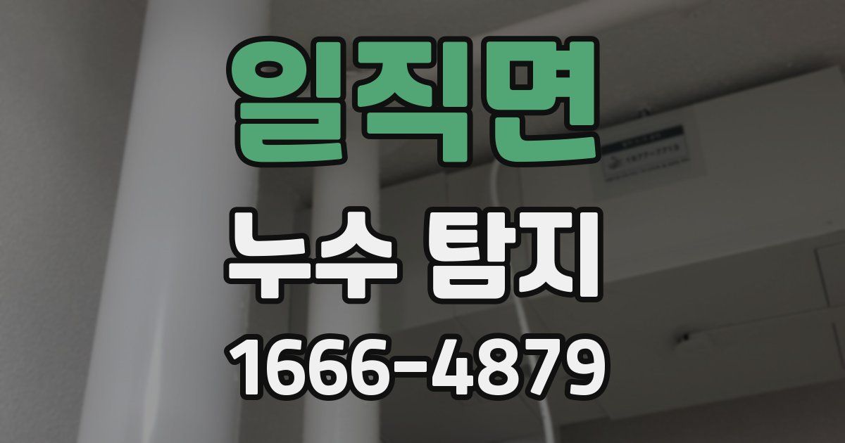 일직면 누수 탐지