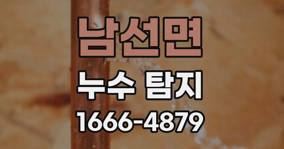 남선면 누수 탐지