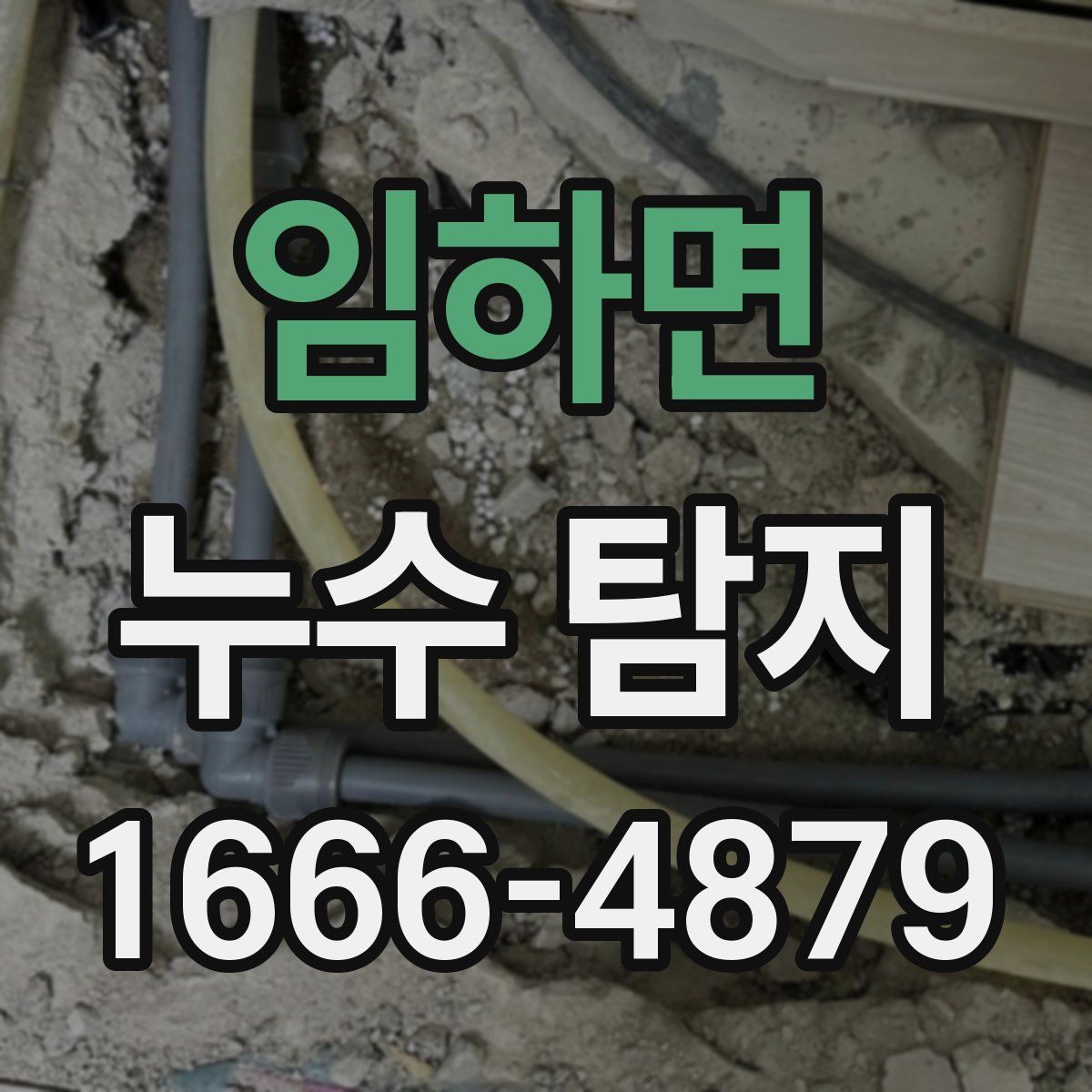 임하면 누수 탐지