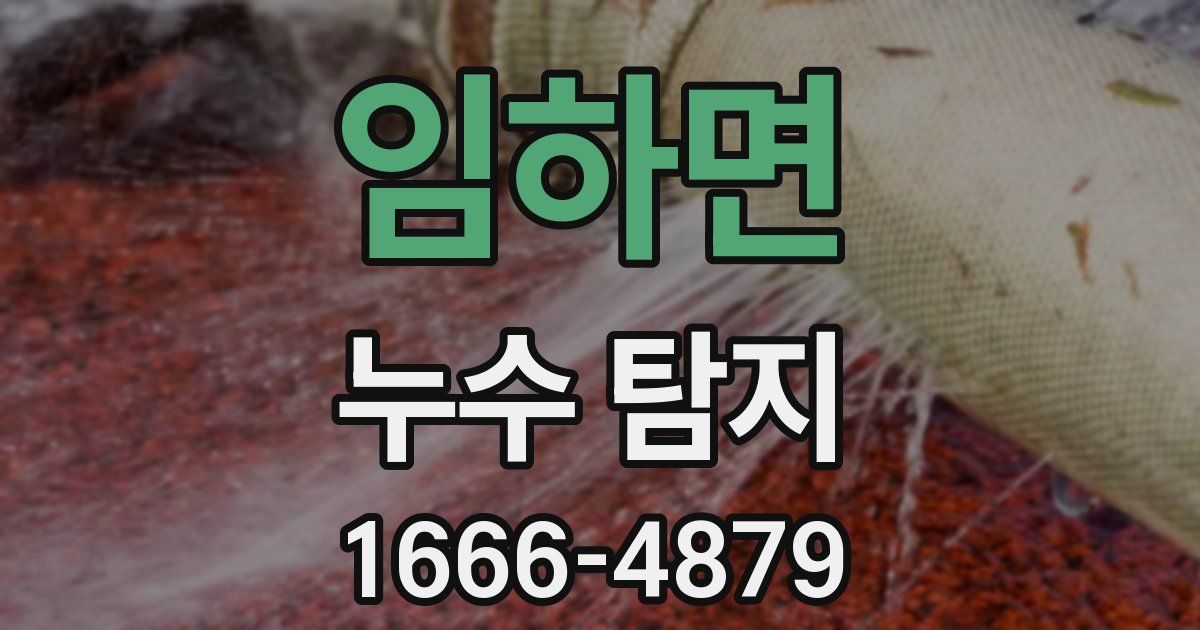 임하면 누수 탐지