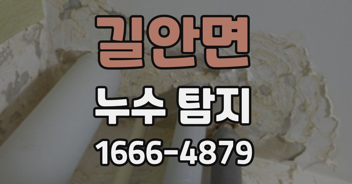 길안면 누수 탐지