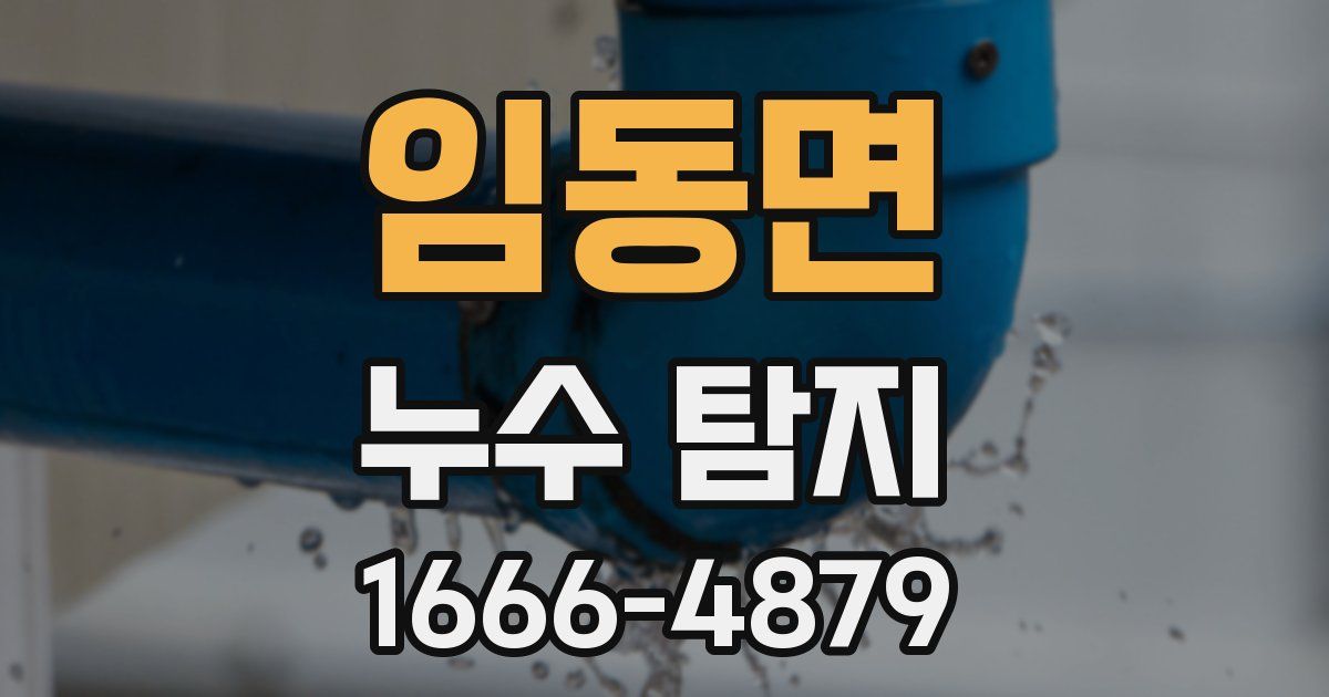 임동면 누수 탐지