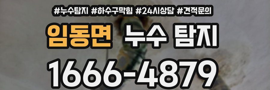 임동면 누수 탐지