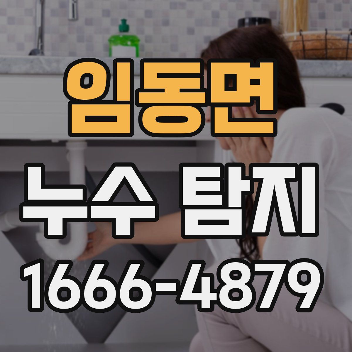 임동면 누수 탐지