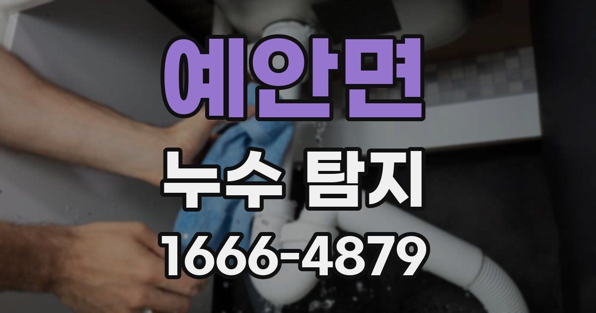 예안면 누수 탐지