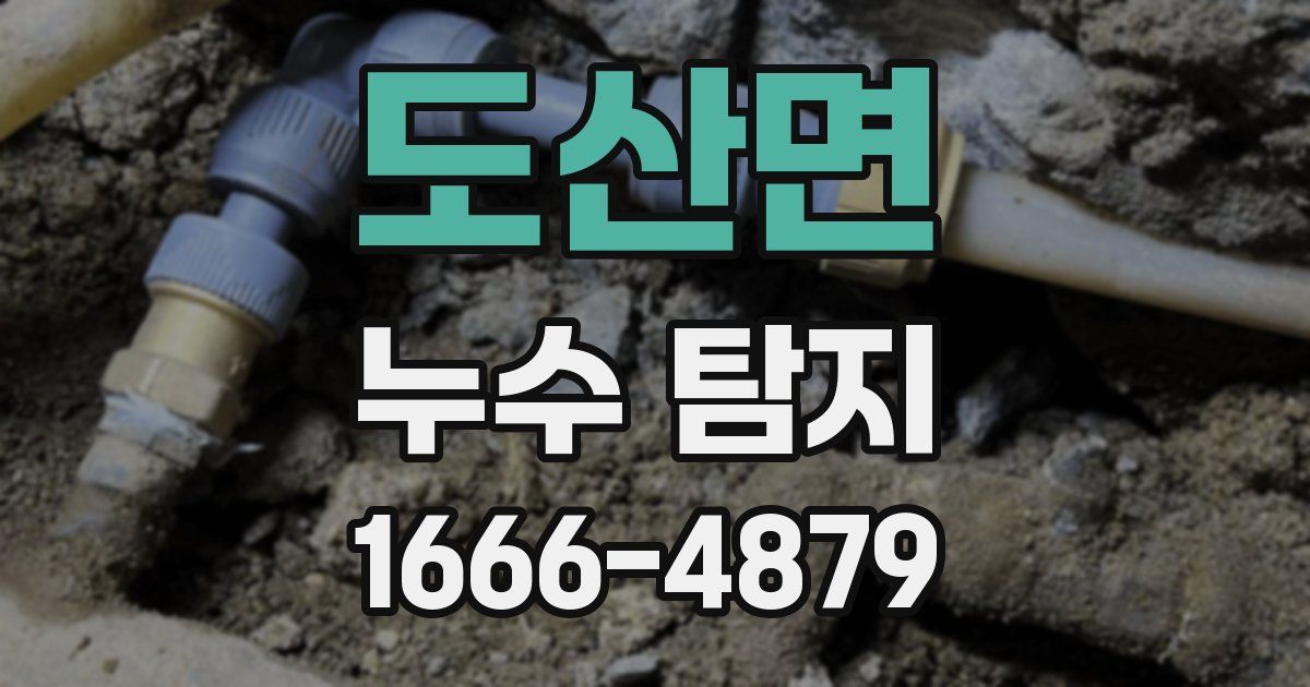 도산면 누수 탐지