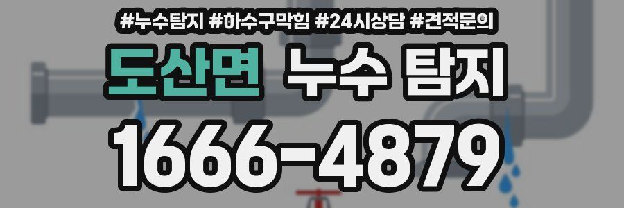 도산면 누수 탐지