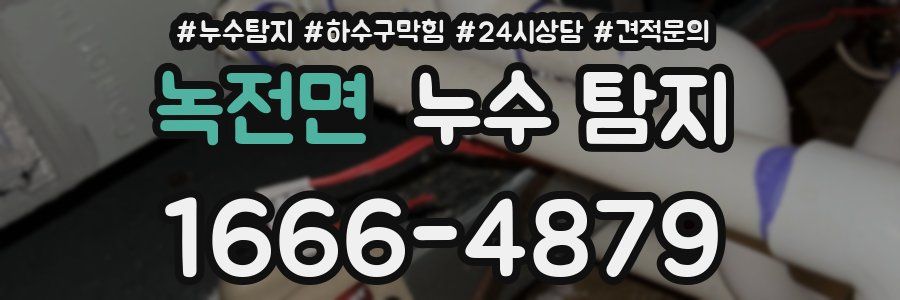 녹전면 누수 탐지