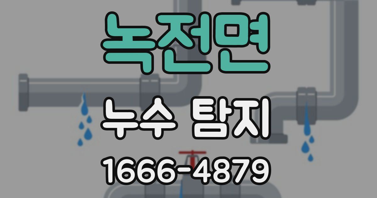 녹전면 누수 탐지