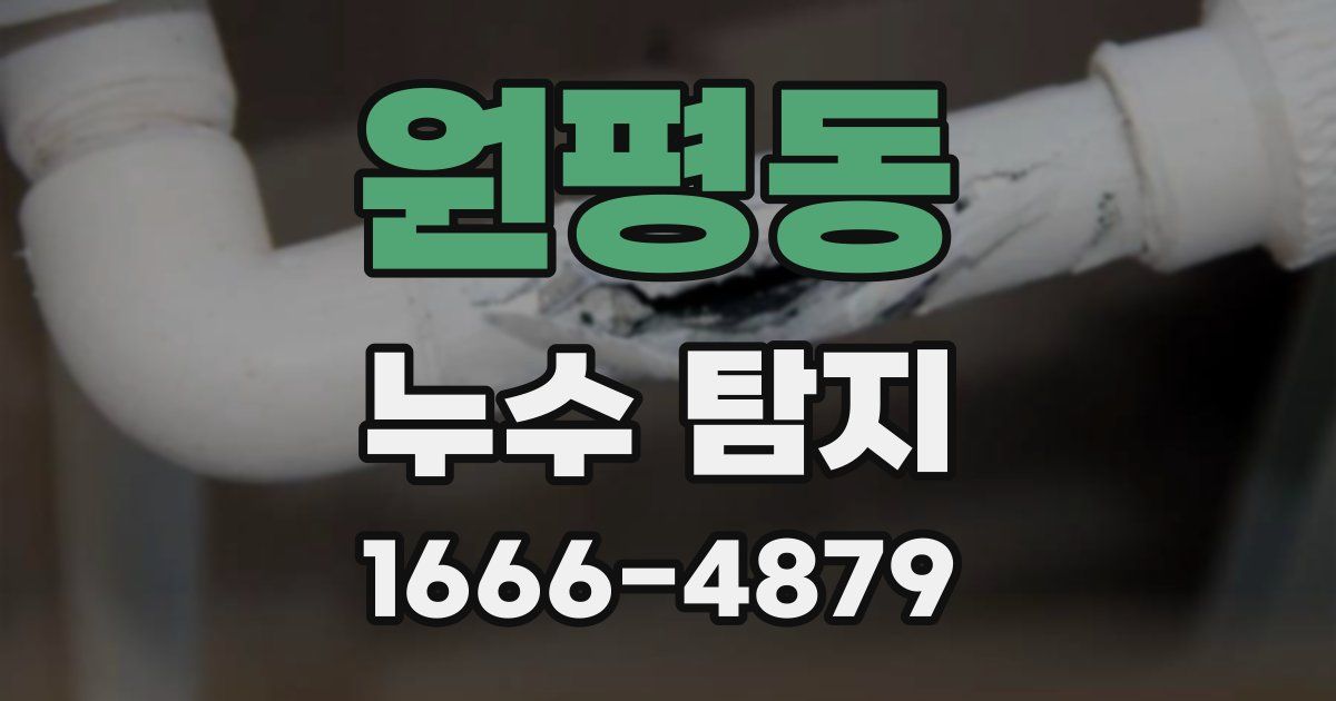 원평동 누수 탐지