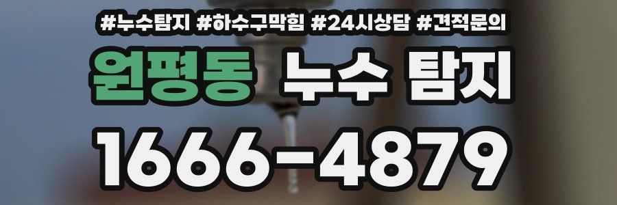 원평동 누수 탐지