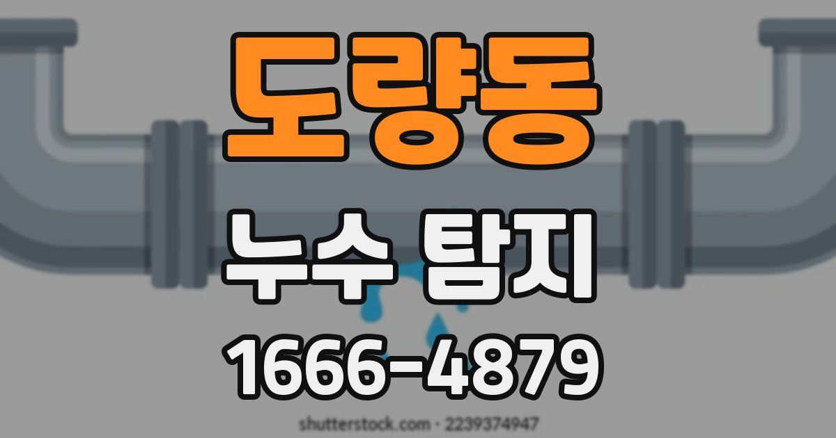 도량동 누수 탐지