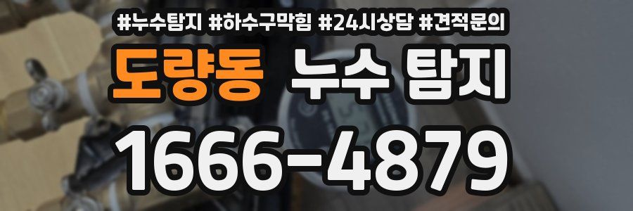 도량동 누수 탐지
