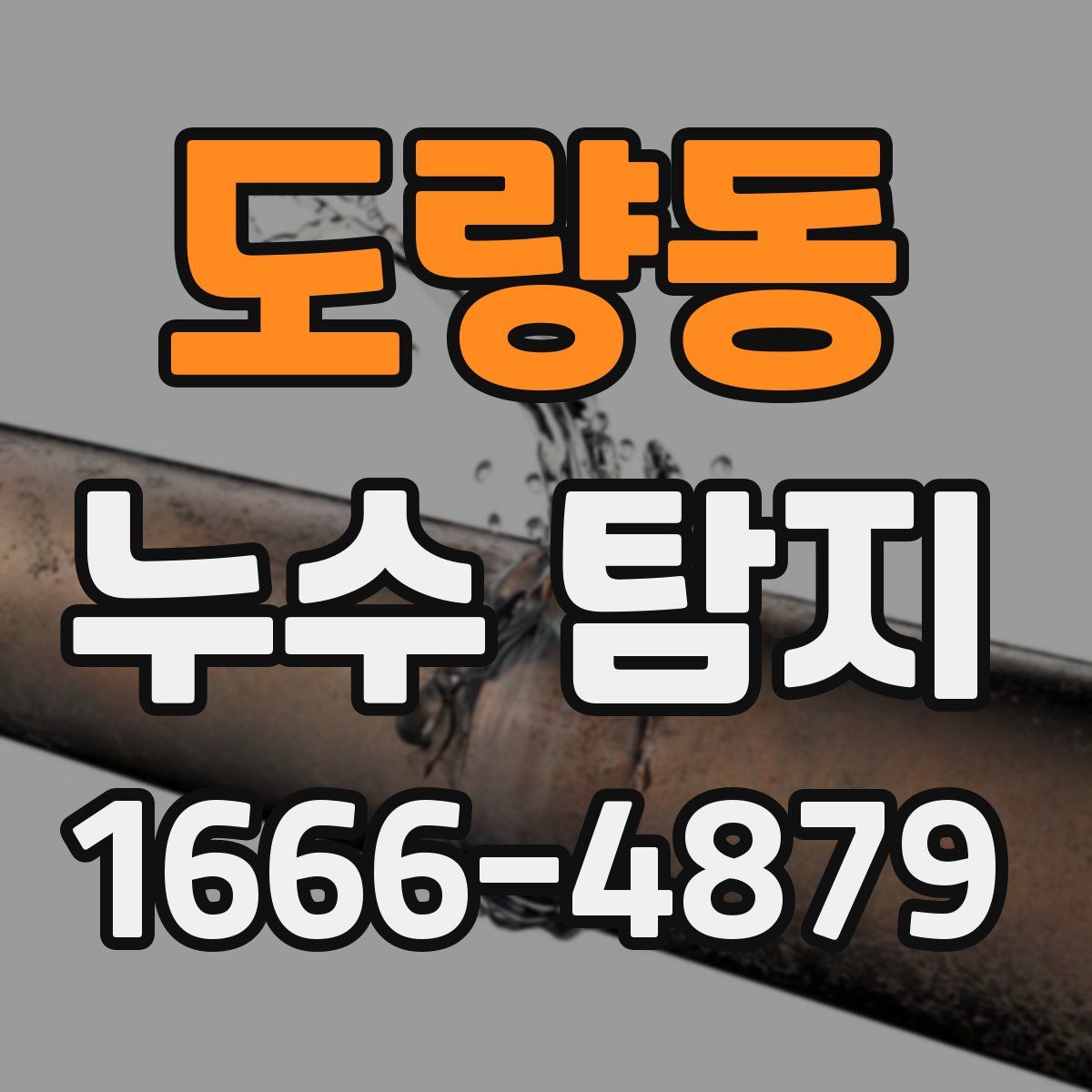 도량동 누수 탐지