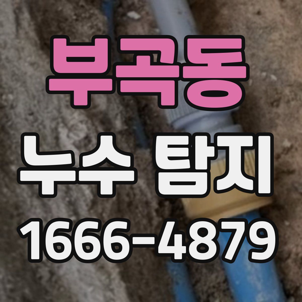 부곡동 누수 탐지