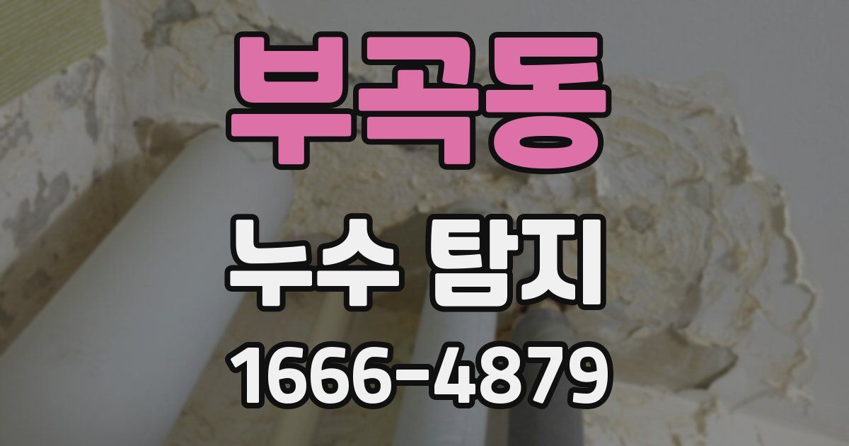 부곡동 누수 탐지