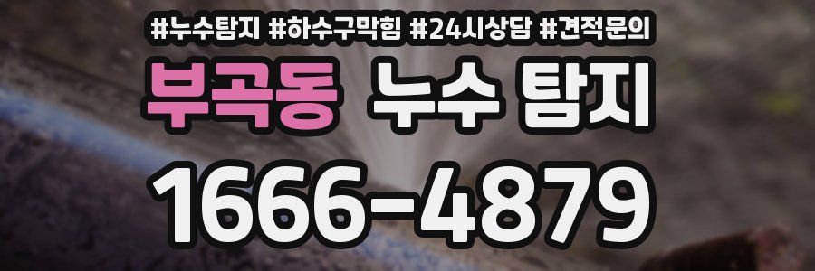 부곡동 누수 탐지