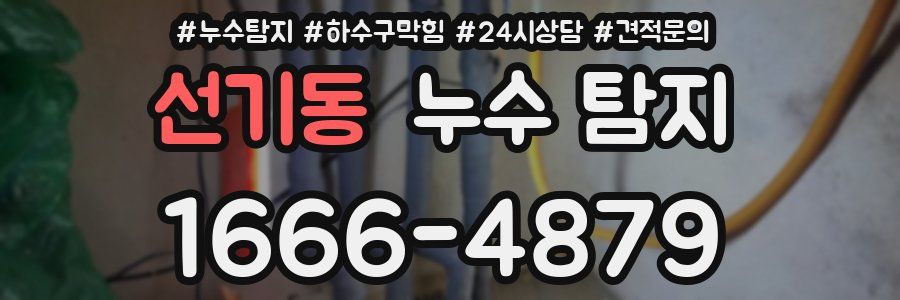 선기동 누수 탐지