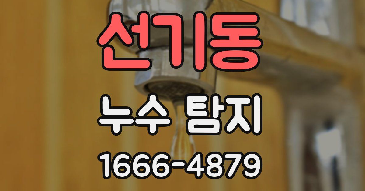 선기동 누수 탐지