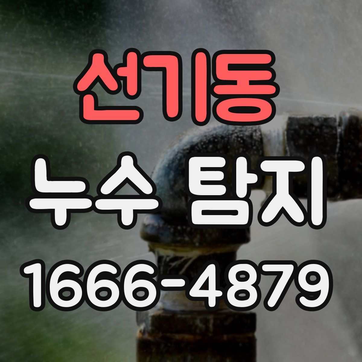 선기동 누수 탐지