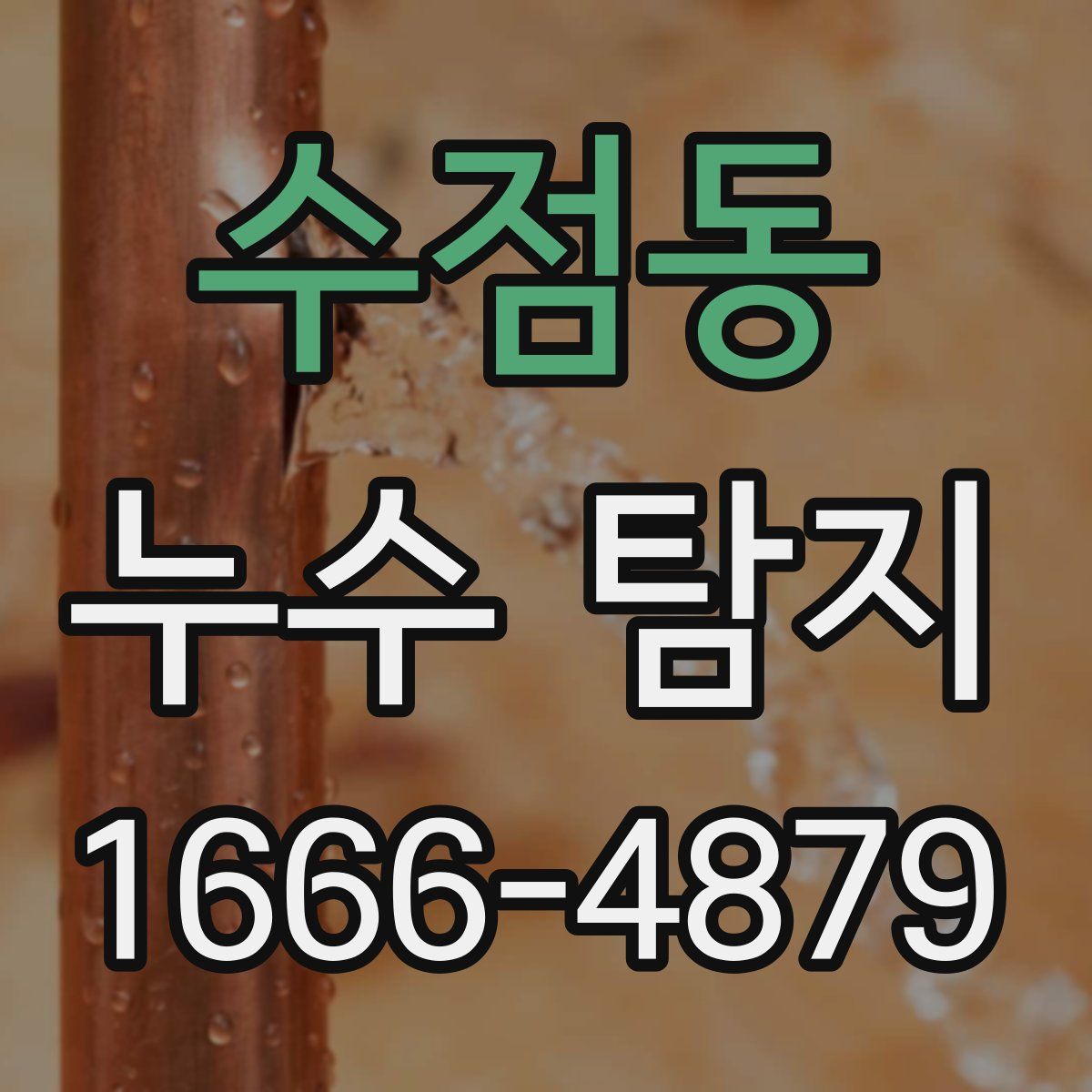 수점동 누수 탐지