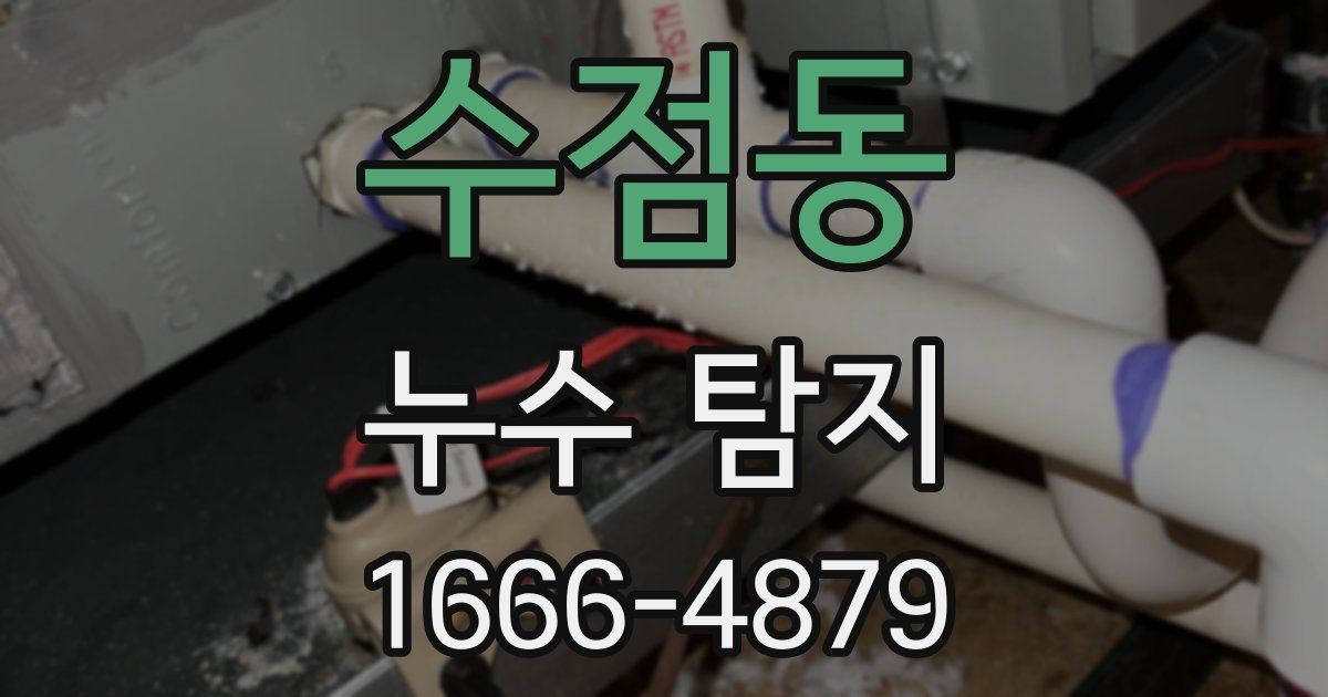 수점동 누수 탐지