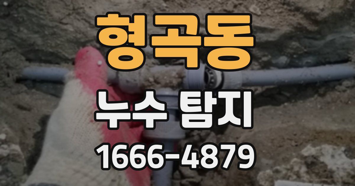형곡동 누수 탐지