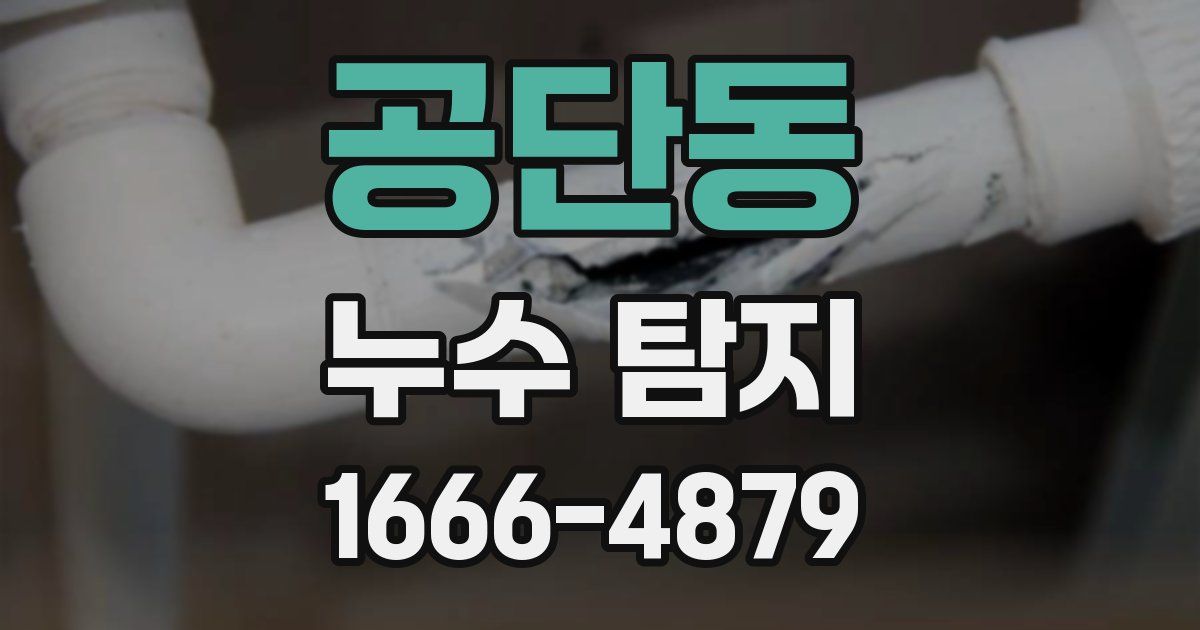 공단동 누수 탐지