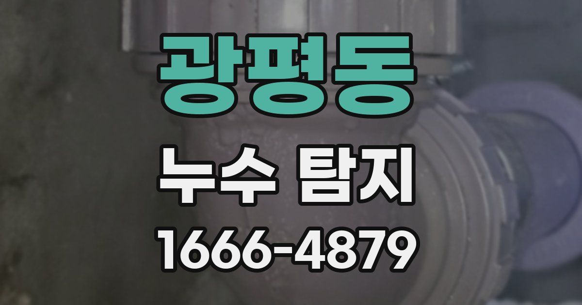 광평동 누수 탐지