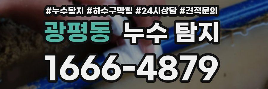 광평동 누수 탐지