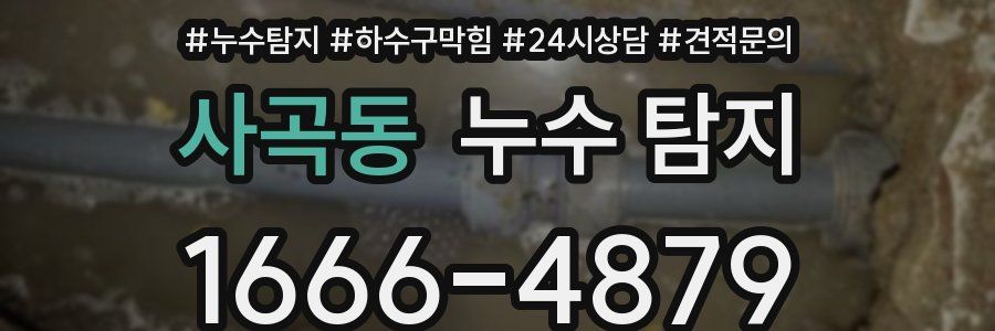 사곡동 누수 탐지