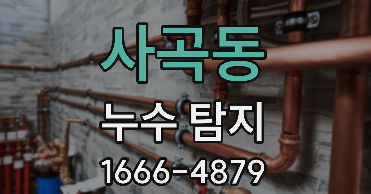 사곡동 누수 탐지