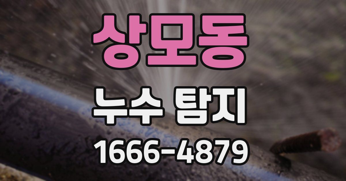 상모동 누수 탐지