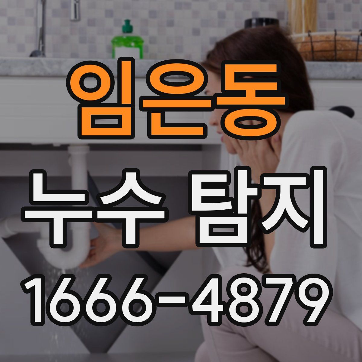 임은동 누수 탐지