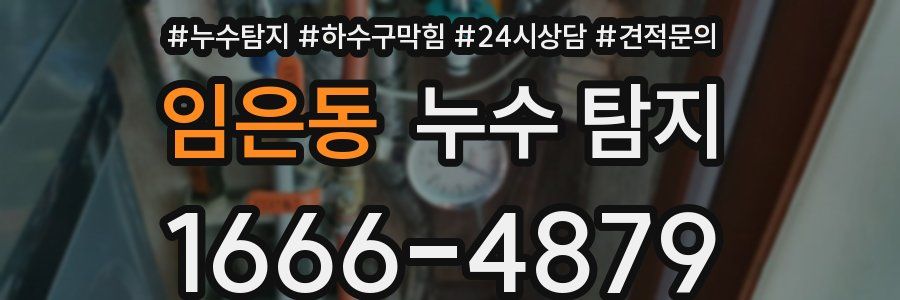 임은동 누수 탐지