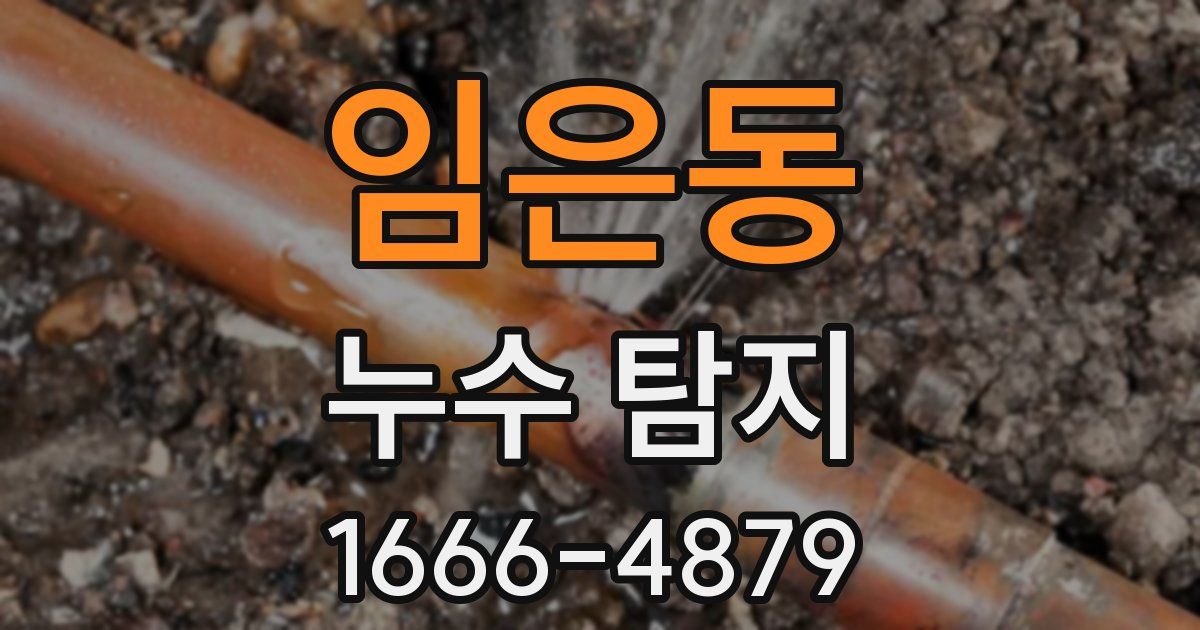임은동 누수 탐지