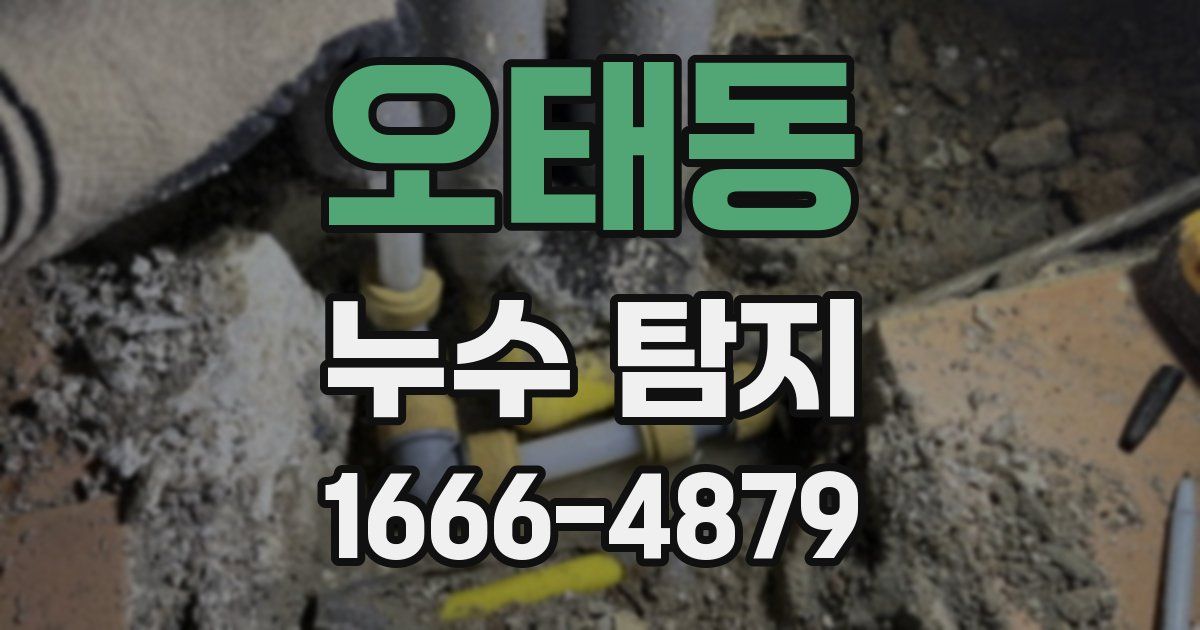 오태동 누수 탐지