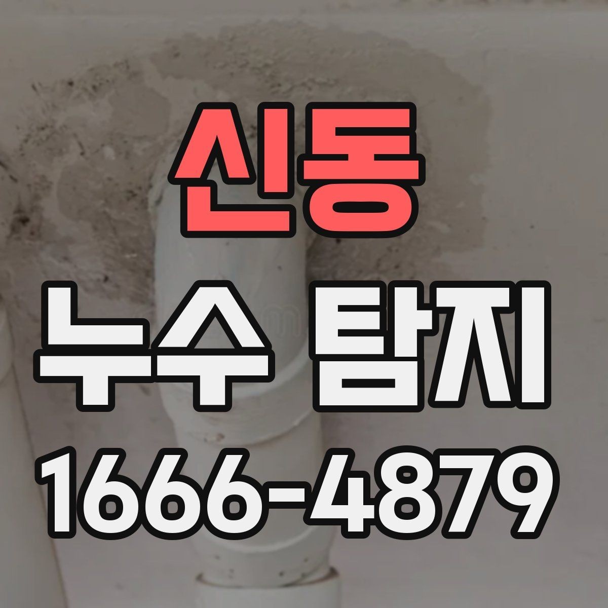 신동 누수 탐지 시 천장과 벽면 점검 요령