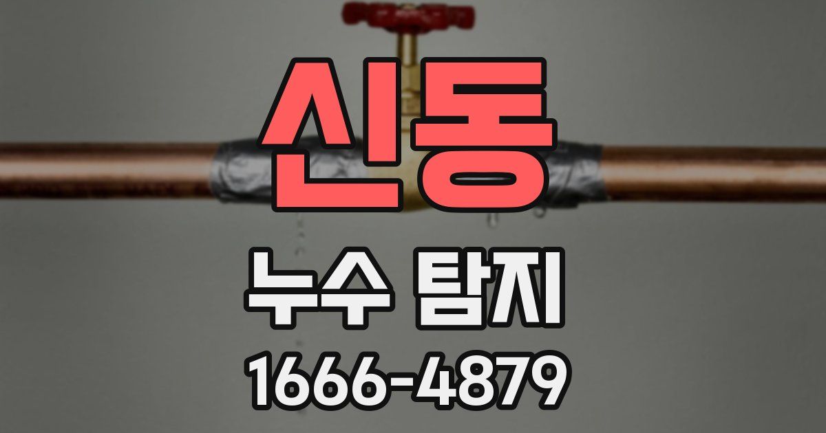 신동 누수 탐지