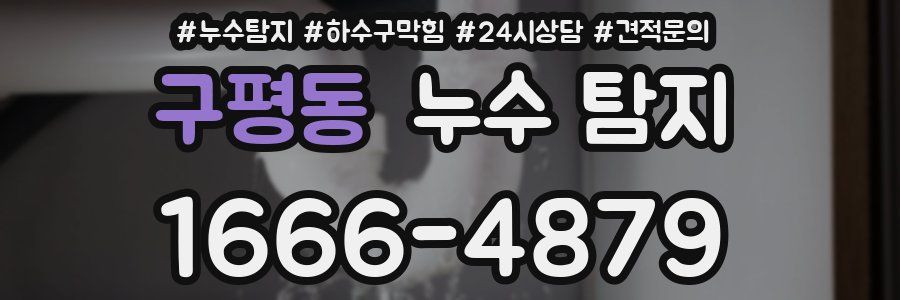 구평동 누수 탐지