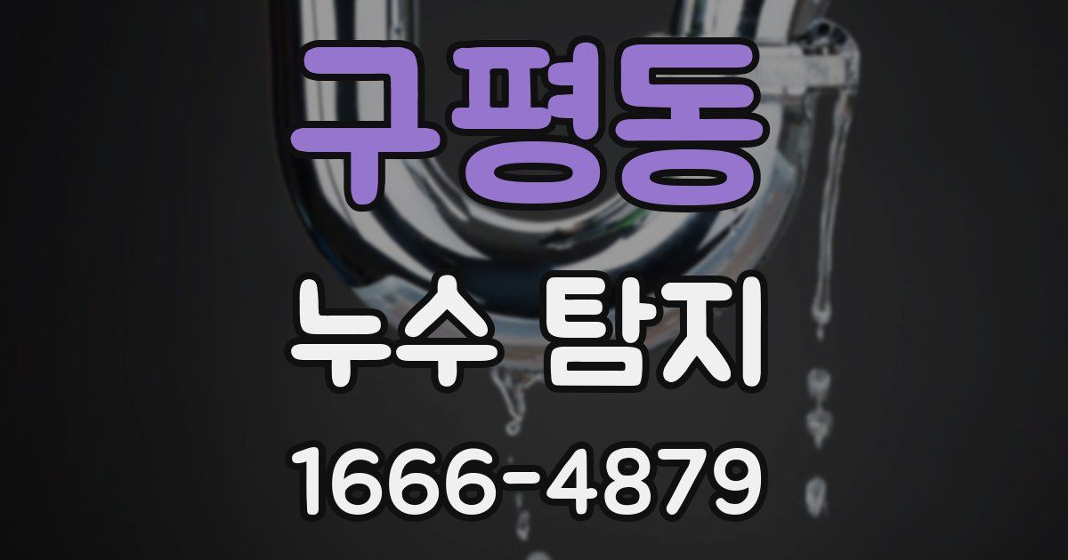 구평동 누수 탐지