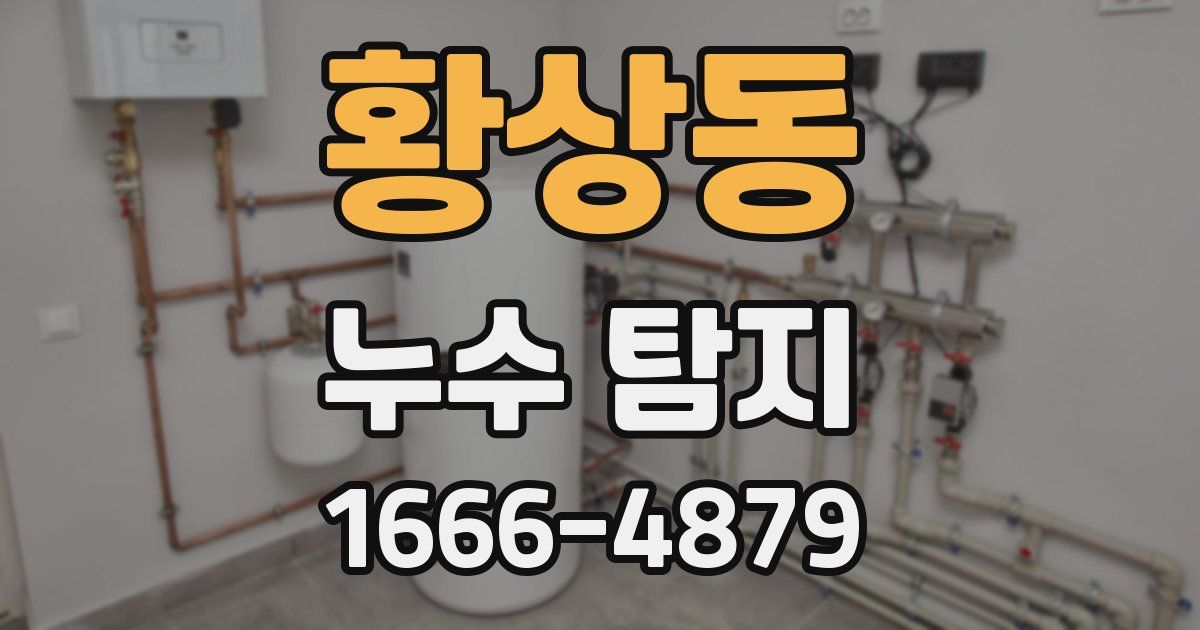 황상동 누수 탐지
