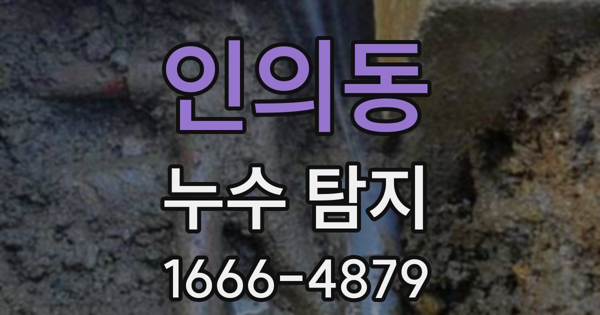 인의동 누수 탐지
