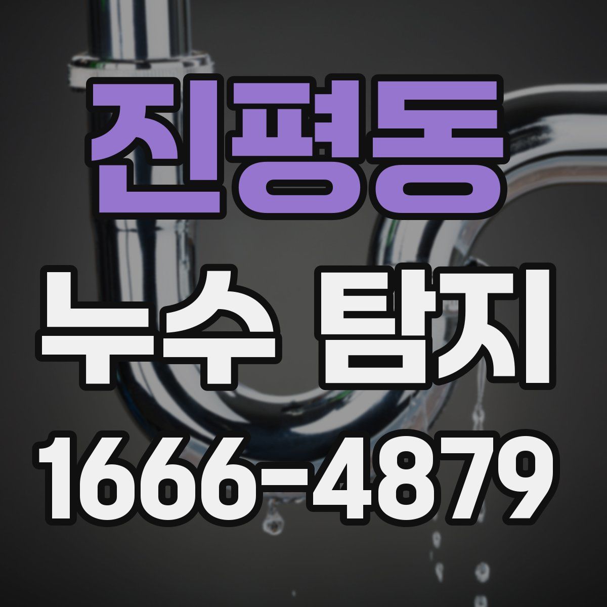 진평동 누수 탐지