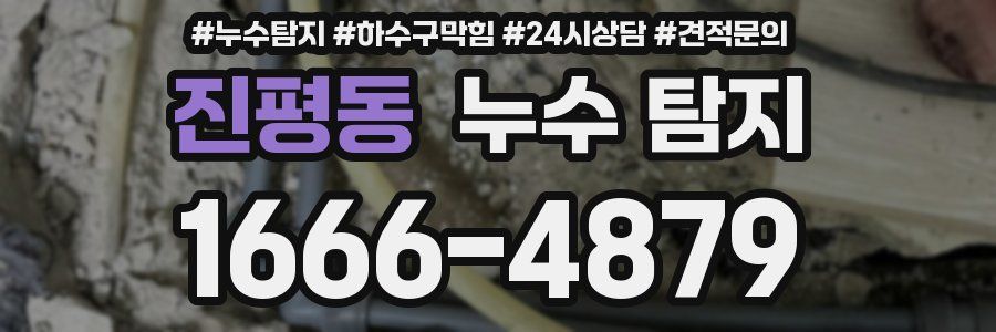 진평동 누수 탐지