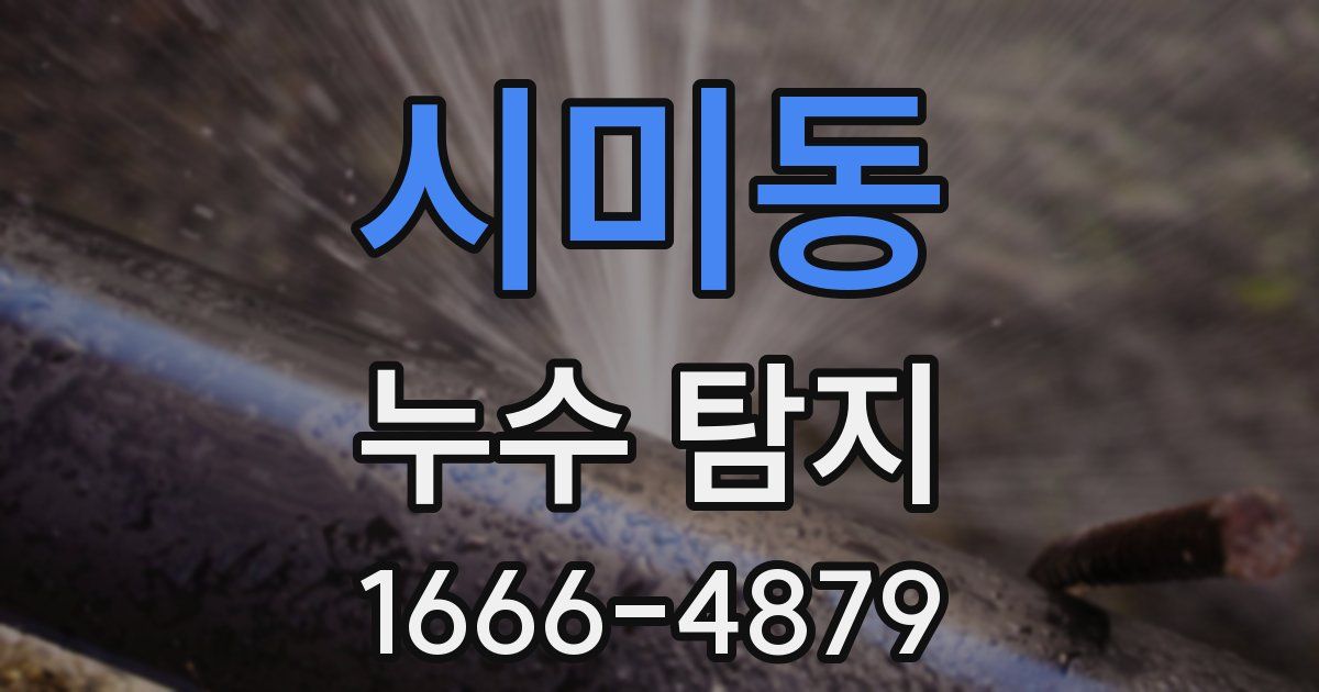 시미동 누수 탐지