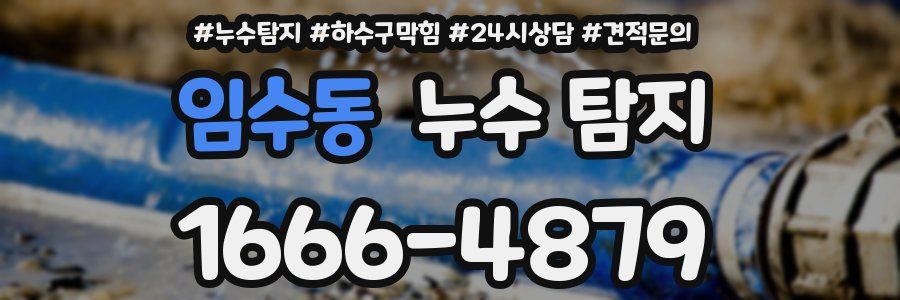 임수동 누수 탐지