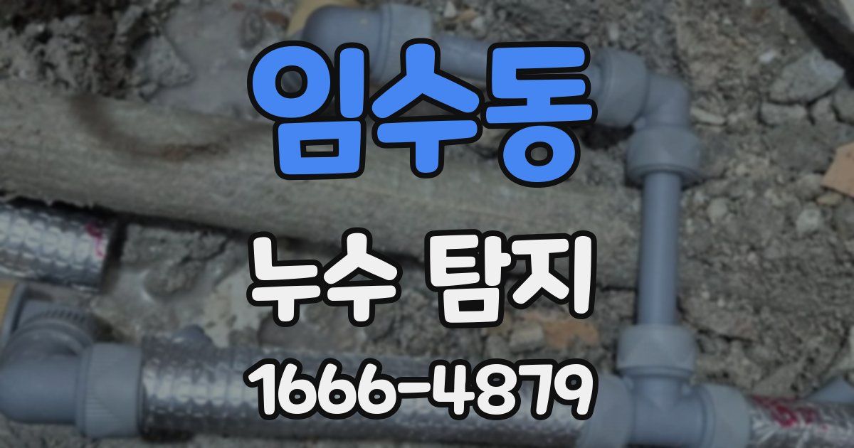 임수동 누수 탐지