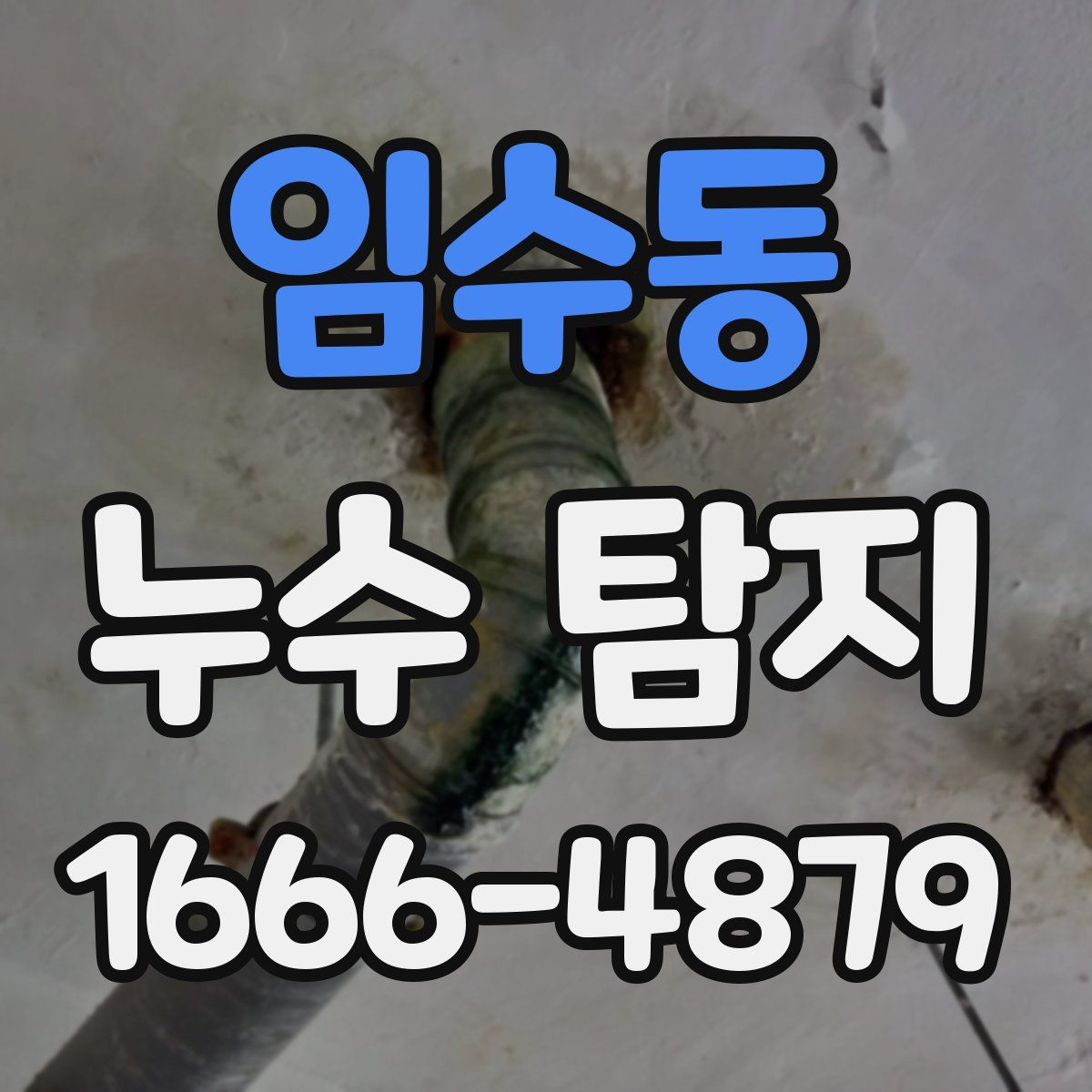 임수동 누수 탐지