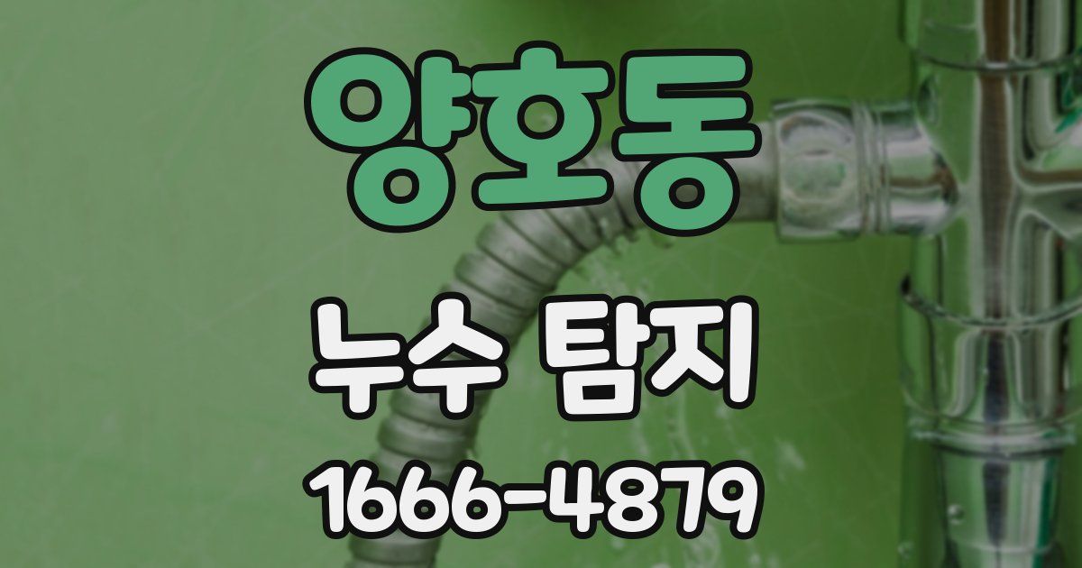 양호동 누수 탐지